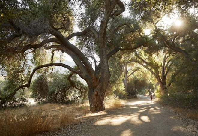 Malibu Creek State Park